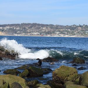 Meet your Posher, Lupita